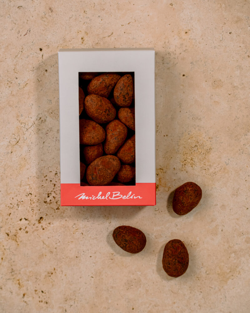 Brique Amandes Gianduja au cacao