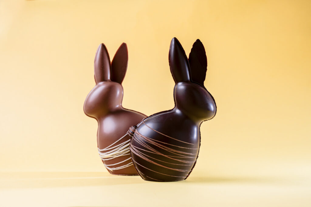 Lapin de Pâques Michel Belin Albi