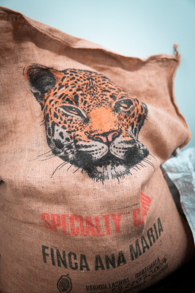 cacao sélectionné par Michel Belin chocolatier albi